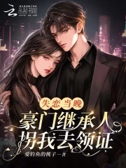 失恋当晚，豪门继承人拐我去领证