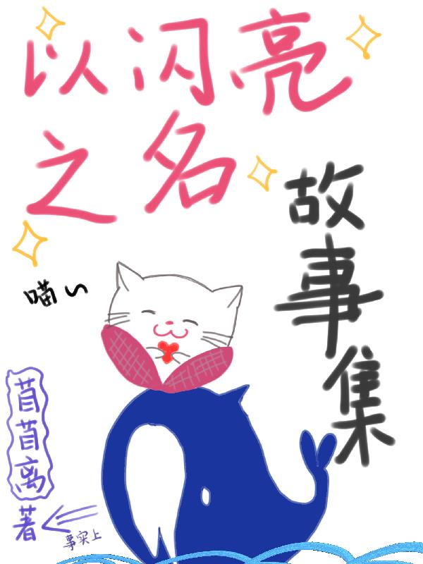 以闪亮之名故事集